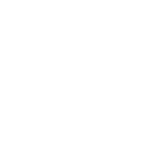 Main Logo